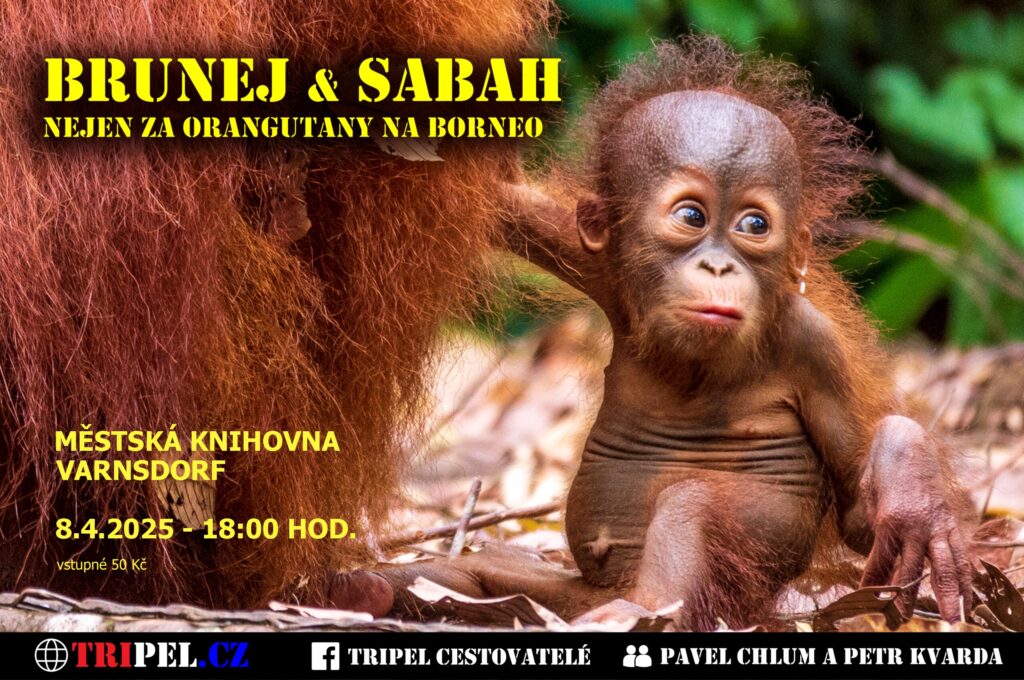 Brunej a Sabah - na Borneo nejen za orangutany
