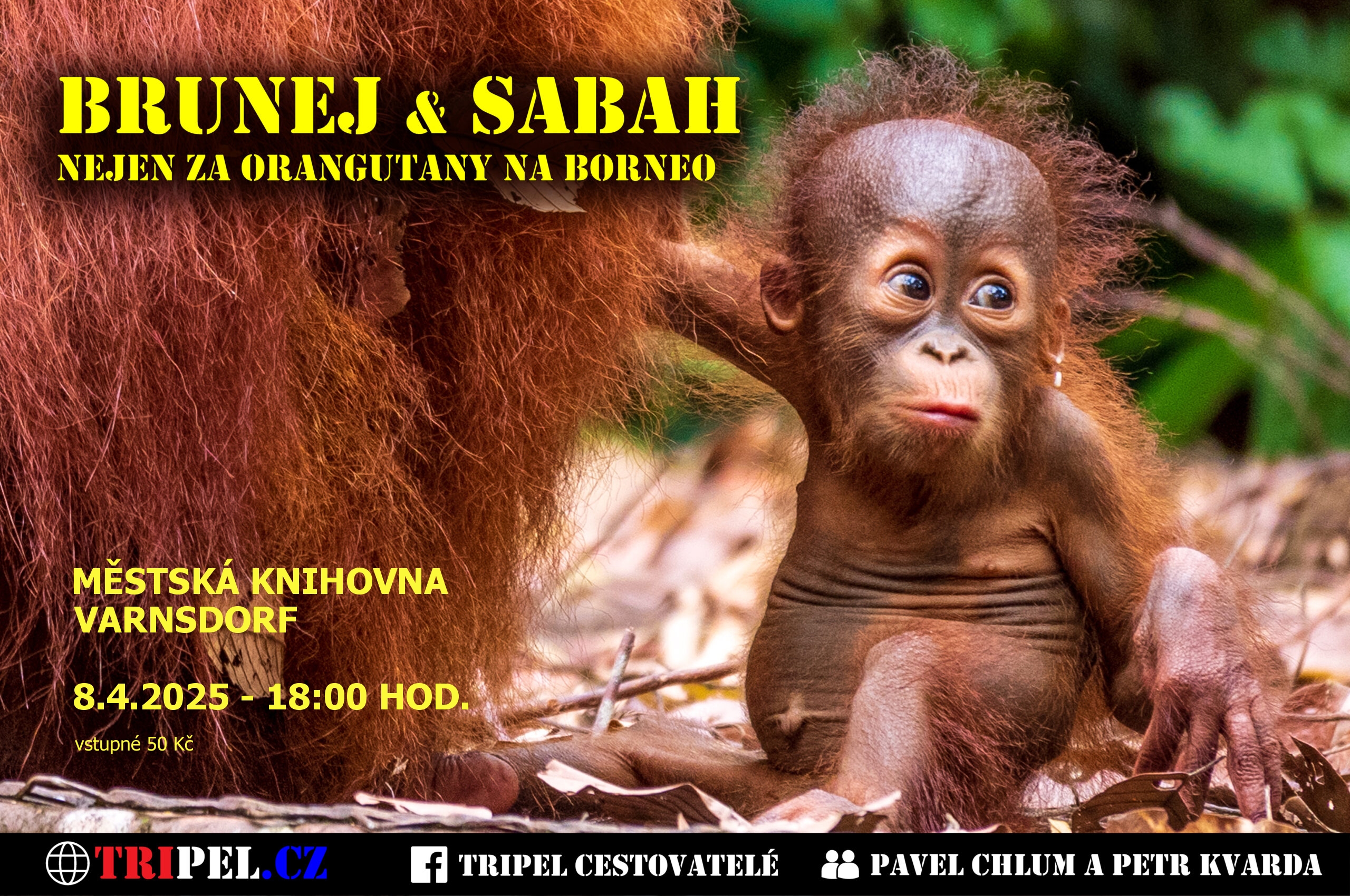 Brunej a Sabah - na Borneo nejen za orangutany